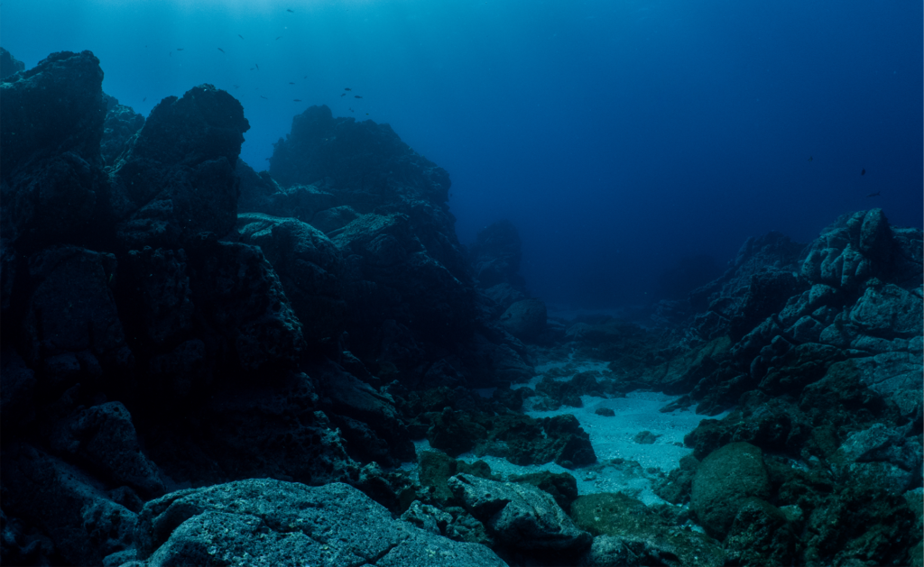 Seabed with rocks