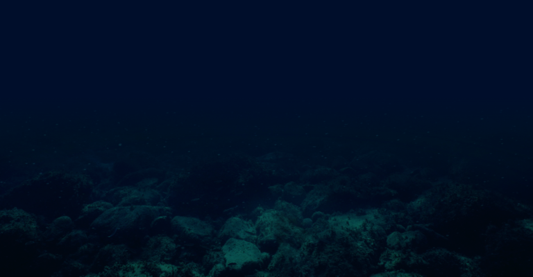 Underwater seabed with rocks