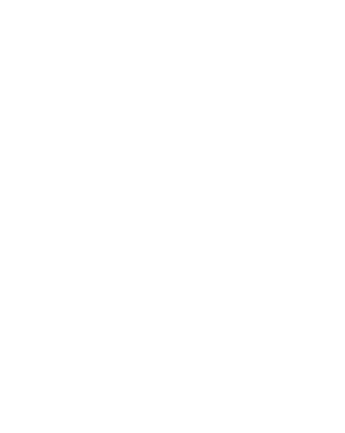 SCHOTTEL Industries Logo White